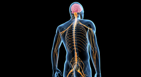 Tonawanda chiropractic  and spinal manipulation benefits for back and neck pain