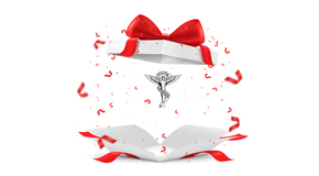 Tonawanda chiropractic care as  a gift