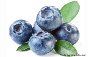 Tonawanda chiropractic and nutritious blueberries